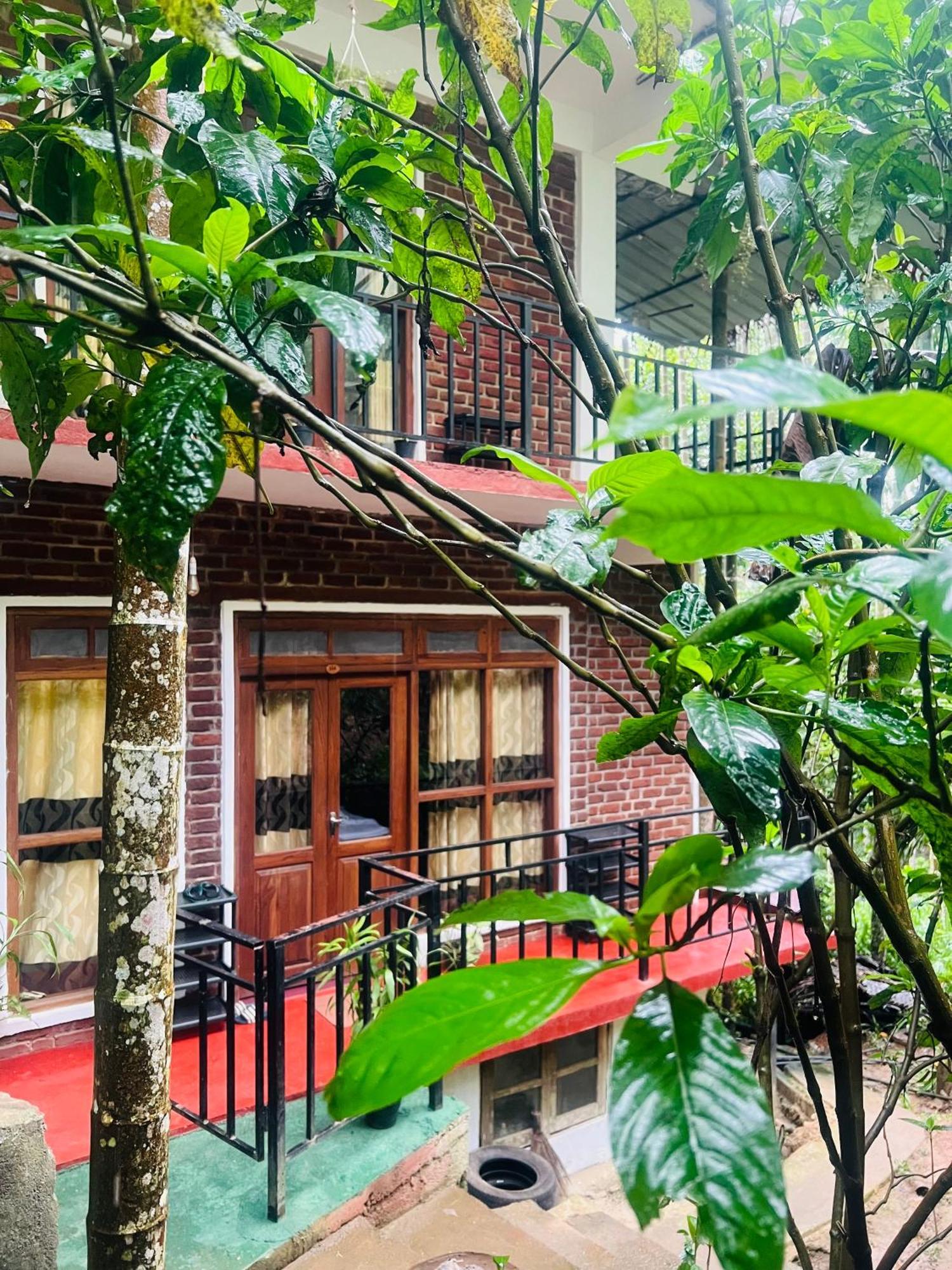 Mum Jungle Inn Элла Экстерьер фото